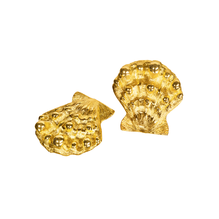 Lion's Paw Shell Earclips